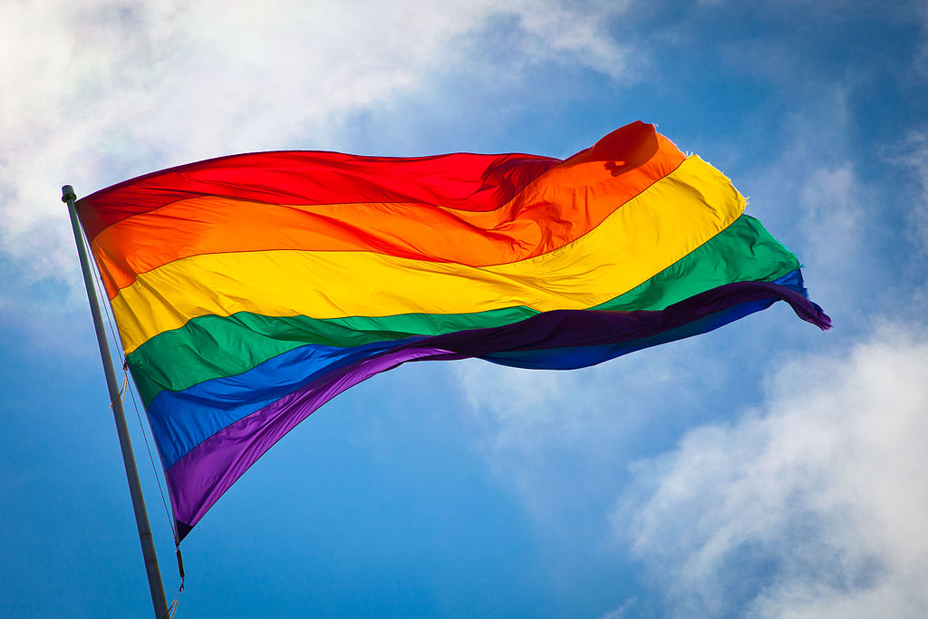 Gay Marriage Flag 30