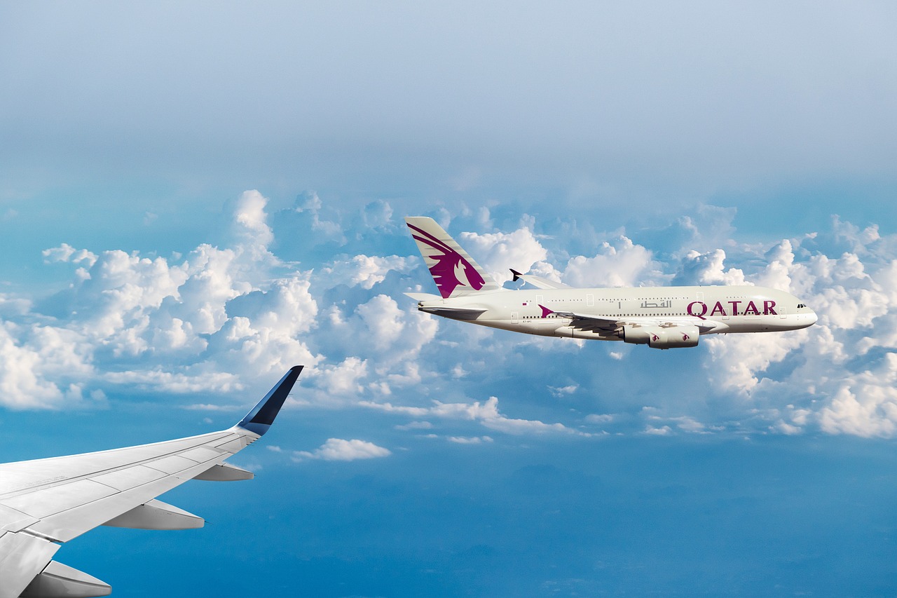 Reflections on the Judgment of the International Court of Justice on the Qatar Air Restrictions Case
