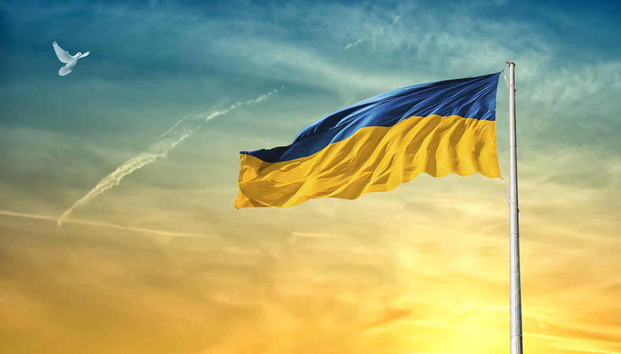 The Russian Invasion of Ukraine: Violations of International Law