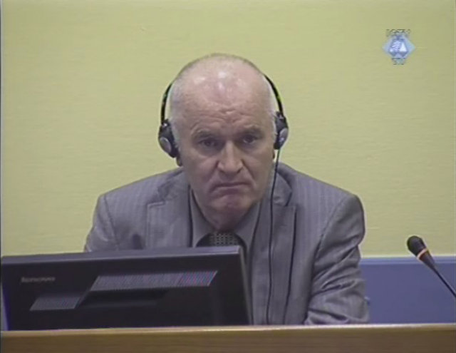 UN court hears oral arguments in Ratko Mladić appeal
