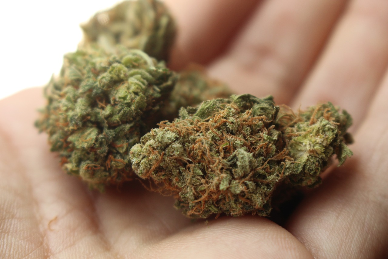 Germany to decriminalize recreational cannabis