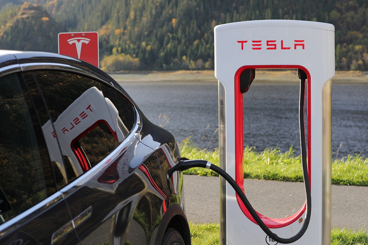 Germany court halts development of Tesla &#8216;Gigafactory&#8217; in forest outside Berlin