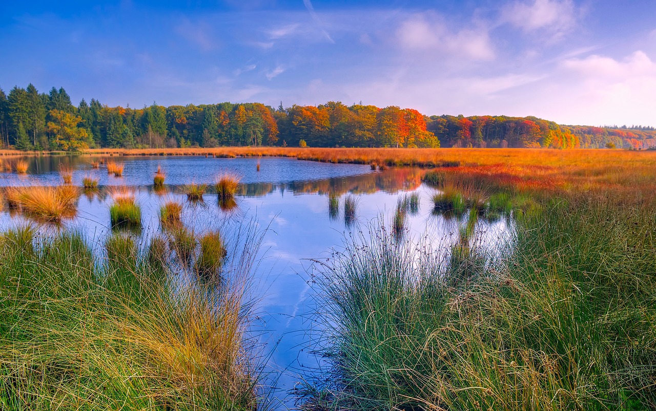 Trump administration repeals waterway protections