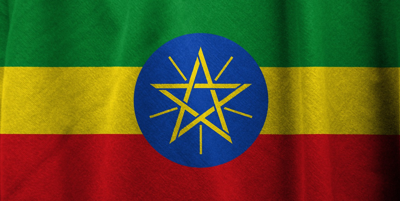 Ethiopia security forces killed 76 during protests following Oromo musician&#8217;s assassination: state human rights body