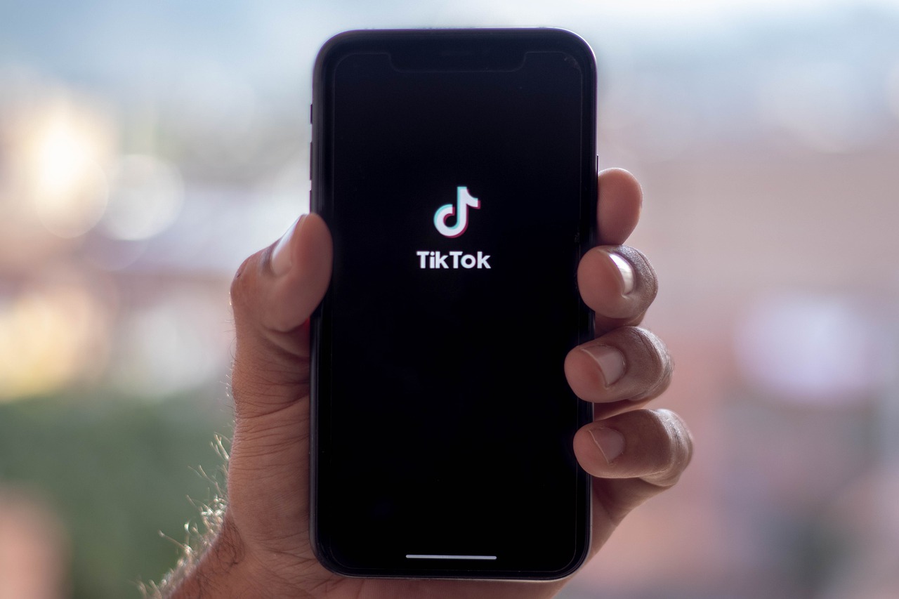 US government appeals lower court ruling to enjoin TikTok restrictions
