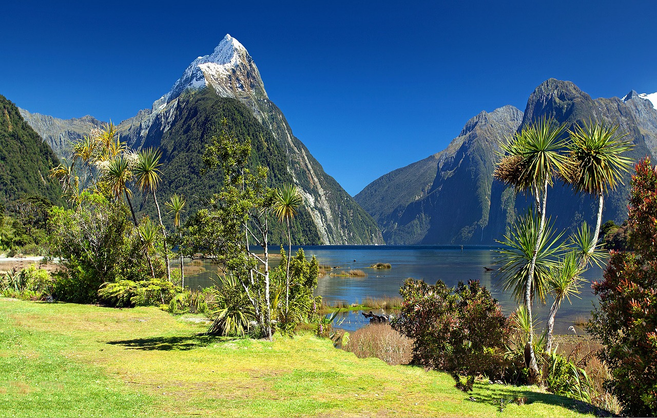 New Zealand introduces legislation to require financial sector disclosures of climate change impact