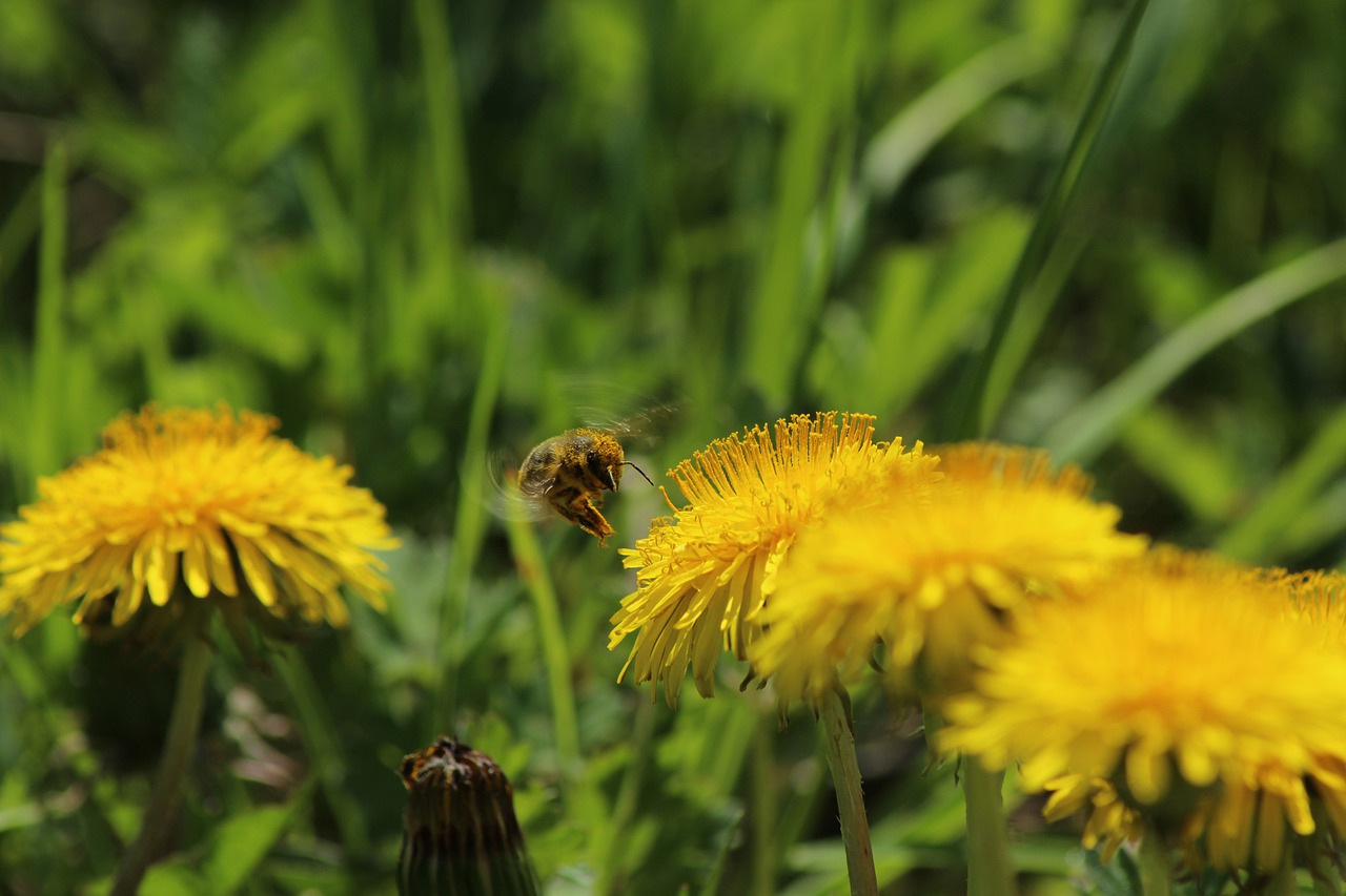 European Parliament approves amendments to law allowing public to challenge negative environmental decisions