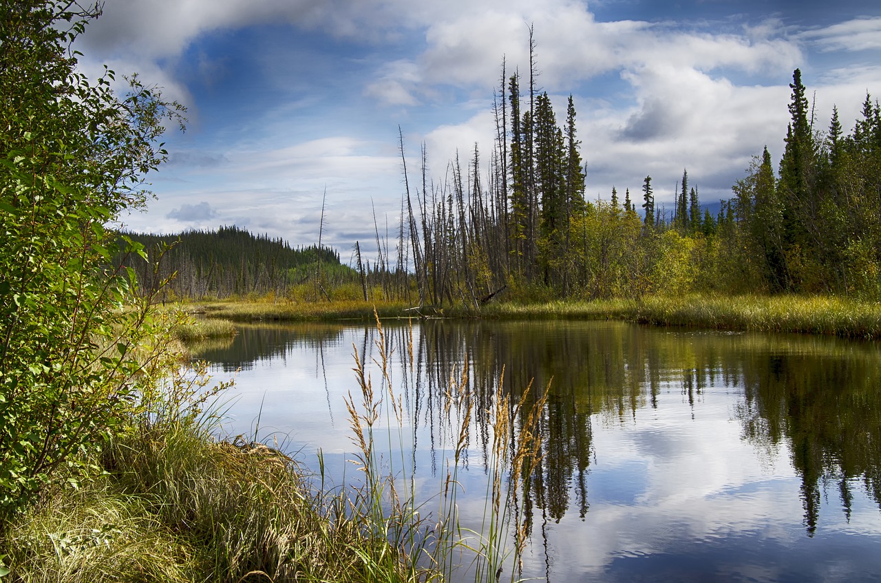 Fish and Wildlife Service proposes to rescind Trump-era endangered ...