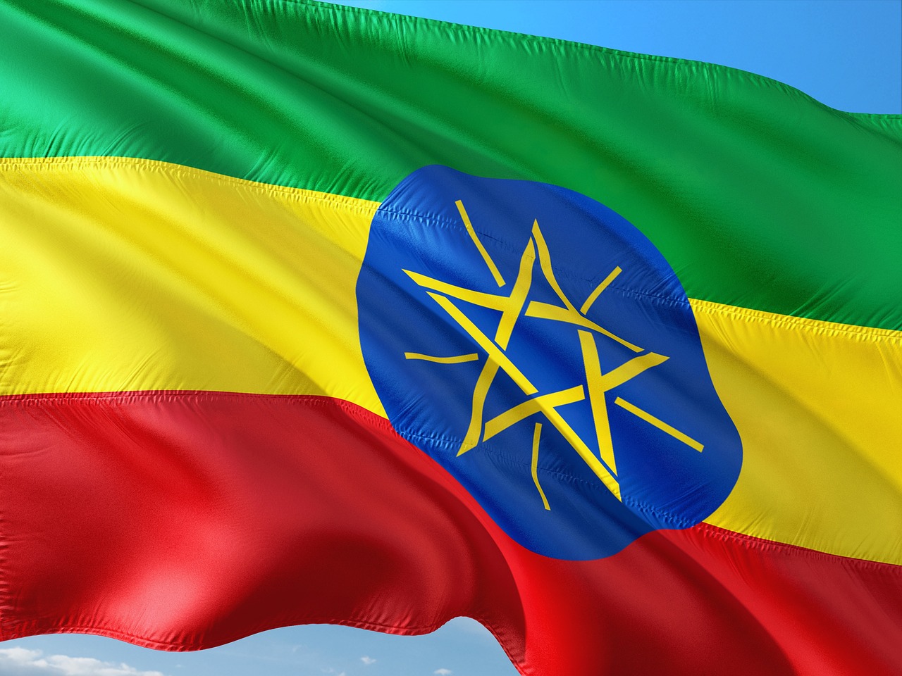 Ethiopia grants amnesty to high-profile political prisoners