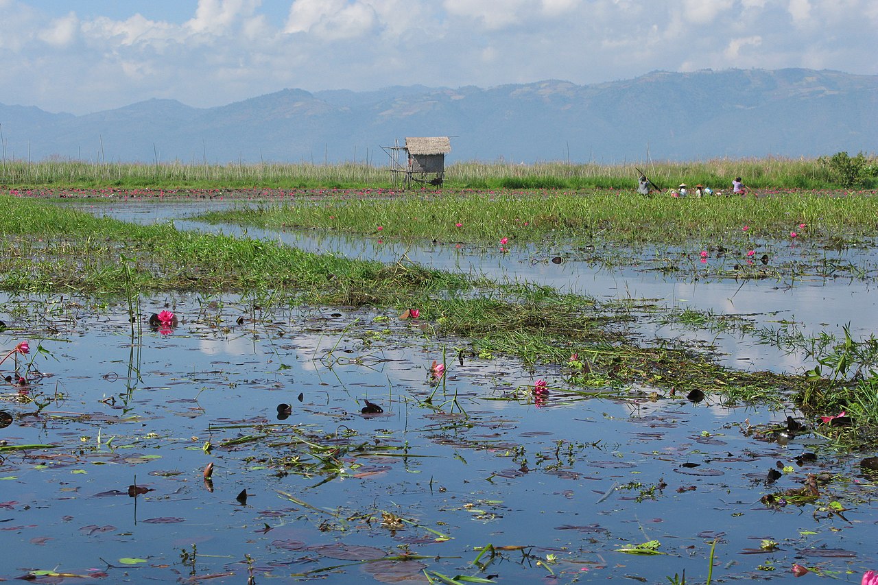 Flooding and war creates dire human rights situation in Myanmar