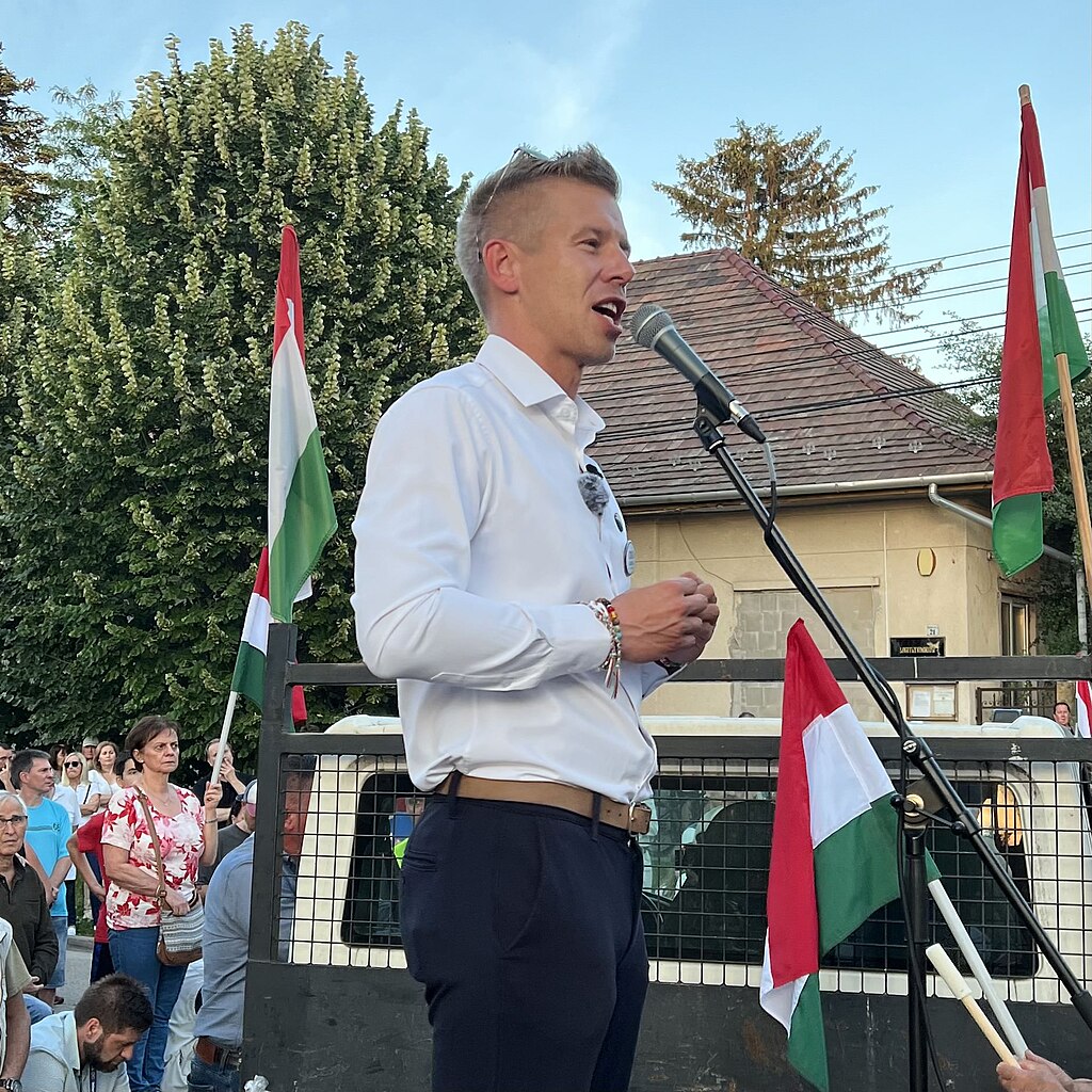 Hungary protesters rally against state control of media