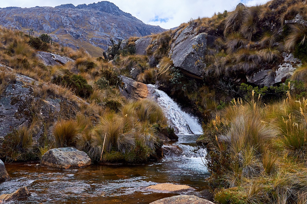 Peru dispatch: wave of forest fires prompts push for new legal framework to facilitate prevention and control