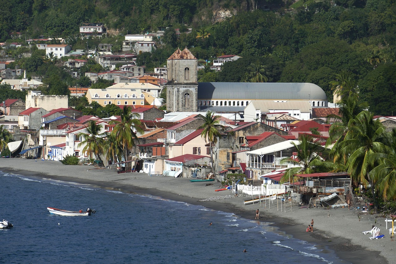 Martinique protesters take up arms over cost of living