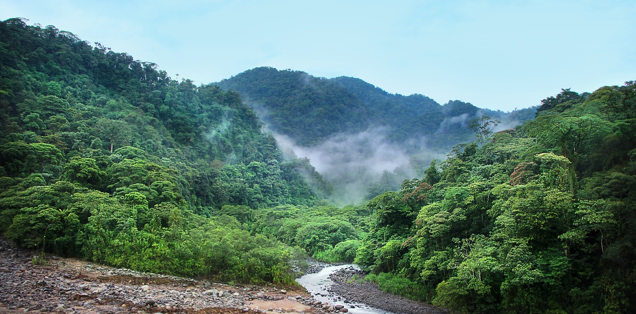 States urged to strengthen human rights protections in Global Biodiversity Framework