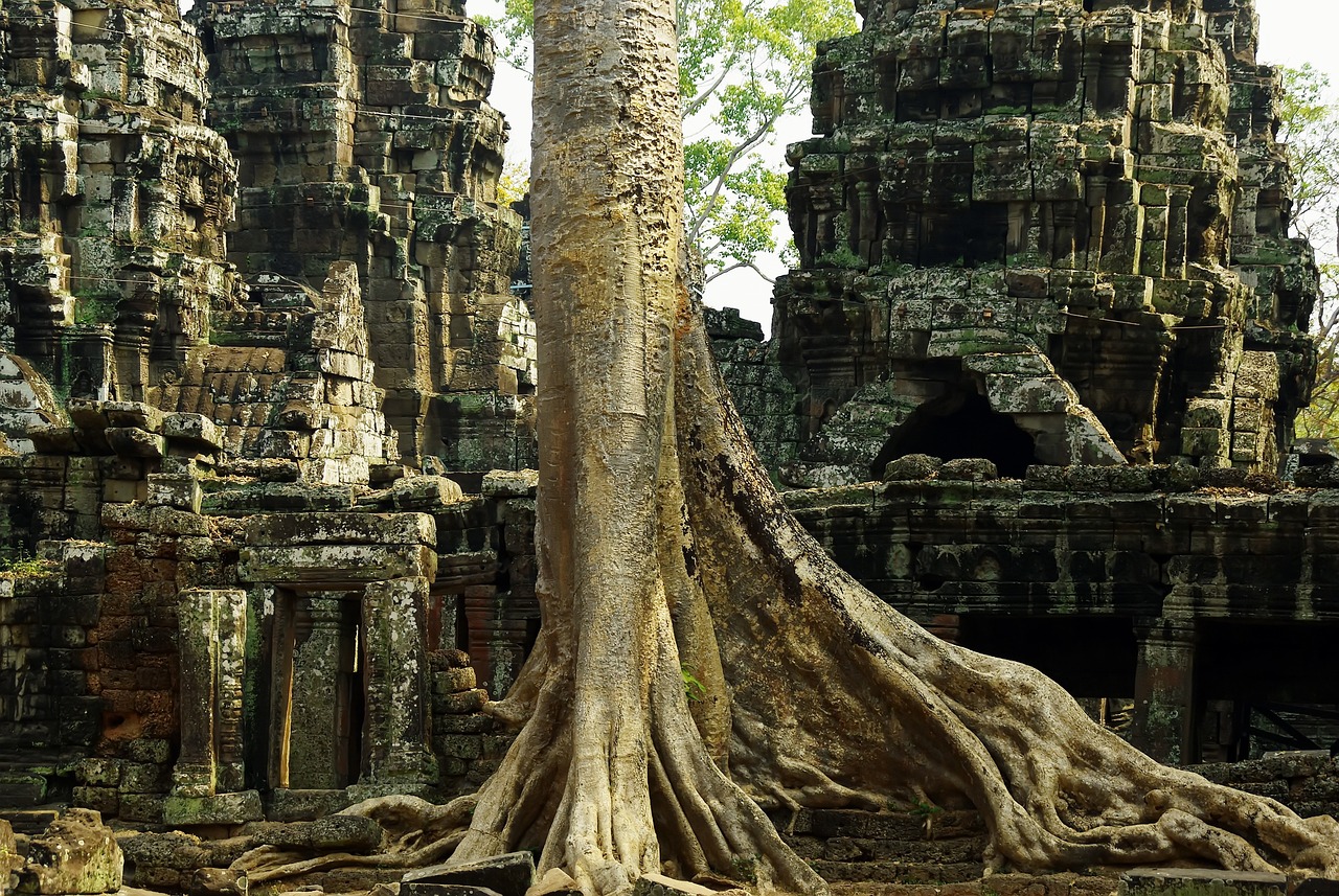 Cambodia frees climate activists arrested near national park