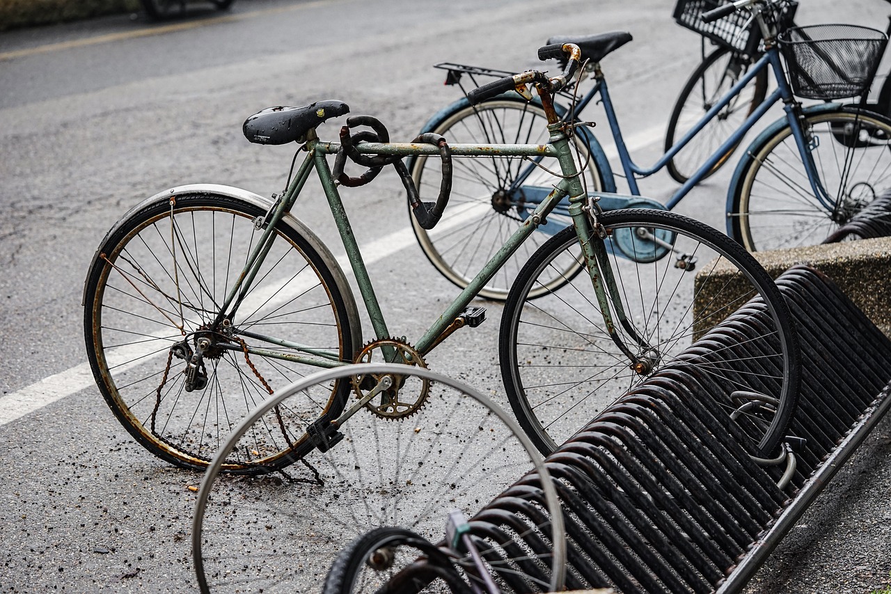 Canada cycling group challenges provincial law granting the removal of bike lanes